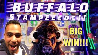 BIG WIN on Buffalo  & Mighty Cash GRAND flashback!  EEEEE