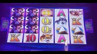 ONLY BONUSES When Slot Machines Don't Want To Pay! Gold Panda,Buffalo,Wicked Winnings & Wild Panda