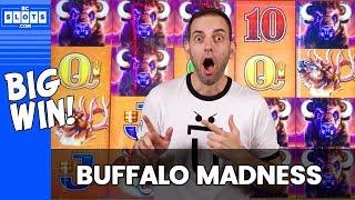 BIG WIN w/ Buffalo MADNESS  BCSlots