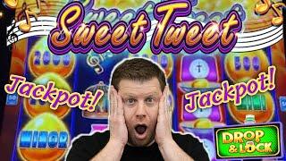 One of My Best Jackpots Ever!  Sweet Tweet Drop & Lock Epic Bonus Win