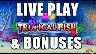 TROPICAL FISH(SG) -  LIVE PLAY AND BONUS WINS