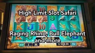 High Limit Slot Safari  Raging Rhino, Bull Elephant and More!