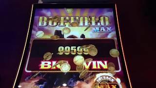 HUGE WIN BUFFALO MAX Aristocrat slot machine pokie Max Bet $4 free spins