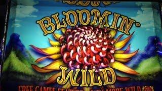 Bloomin' Wild Slot Bonus w/ Many Retriggers - Aristocrat