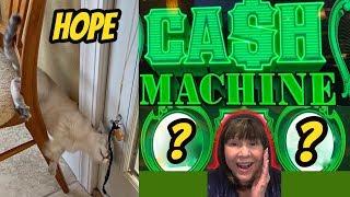 CASH MACHINE WINS & HOPE OUR KITTEN