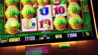 Wild Leprechauns Slot Machine Bonus Max Bet (Wild Lepre'Coins) In honor of St. Patrick's Day