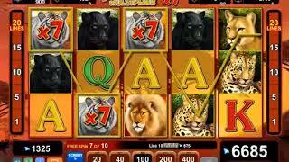 Cats Royal slot - 8,525 win!