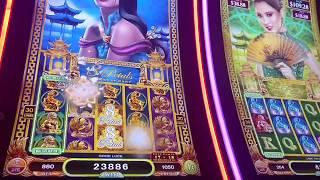 SLOT NEIGHBOR GONE WILD!  BIG WIN MAX BET 8 Petals Aristocrat slot machine pokie free spins