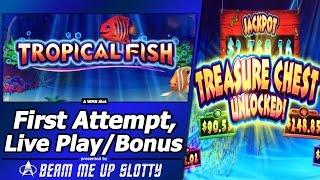Tropical Fish Slot - Live Play with Free Spins and Re-Spin Feature in new WMS title