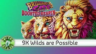 Brilliant Cats Boosted Respin slot machine bonus