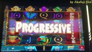 BIG WIN & Get ProgressiveFirst Attempt !! GOLDEN GECKO Slot Bet $3.75, Akafujislot