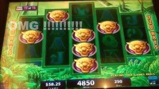 Prowling Panther Slot machine 56 Free games vs 8 Free games BIG WIN BONUS$2.50 Bet