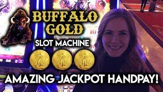 AMAZING  Buffalo Gold  HANDPAY!  JACKPOT WIN!!!