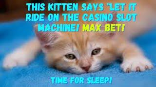 MAX BET ON FU DAO LE SLOT MACHINE!
