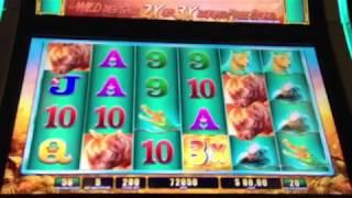 Handpay Raging Rhino