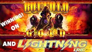 Big Wins on  Buffalo Gold and ️ Lightning Link ️ - Hard Rock Casino Las Vegas