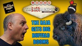 BIG Buffalo Booms at the Hard Rock Casino in Las Vegas  | The Big Jackpot