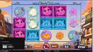 Copy Cats Slot Features & Game Play - by NetEnt