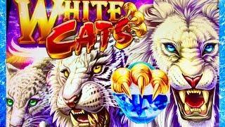 WHITE CATS•CRAZY LINE HITS $$$ CASINO GAMBLING WITH THE BOYZ!