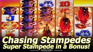 Super Stampede Feature in the Free Spins Bonus! More Buffalo Ascension Slot Play at Soboba Casino!