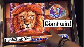 I got the #1 Bonus Award!!! Giant win on King of Africa