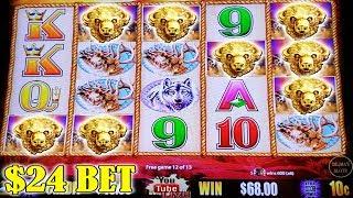 WOW $24 BET! BUFFALO GOLD HIGH LIMIT SLOT MACHINE | BONUS