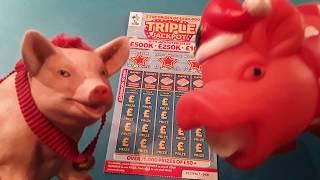 Triple JackpotScratchcard.& Bonus card..Flamingo Fortune... in our.One Card Wonder Game