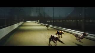 Playtech Virtual Sports – Greyhounds Trailer