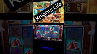 Knights Life5 Pferde