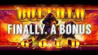Buffalo Gold - nice bonus - Slot Machine Bonus