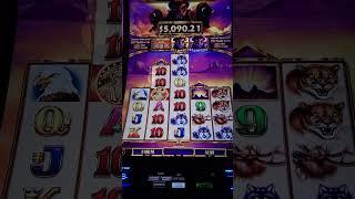 STAMPEDES! $2 Bet | 5 of a kind #shorts #casino #winner
