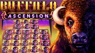INCREDIBLE BUFFALO ASCENSION RUN! 3x 5x | SUPER STAMPEDE | HAND PAY