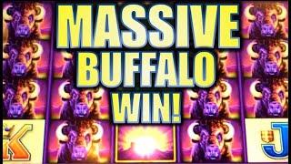 MASSIVE BUFFALO WIN! HUGE STAMPEDE ON WONDER 4 BUFFALO Slot Machine Bonus (Aristocrat)