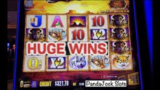 Just when I thought the bonus was over…Huge Wins on Buffalo Gold!