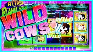 Live Bonus!!! WILD COWS on Invaders Attack from the Planet Moolah - CASINO SLOTS
