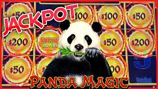 HIGH LIMIT DRAGON LINK PANDA MAGIC Handpay Jackpot  $50 MAX BET Bonus Rounds Slot Machine Casino