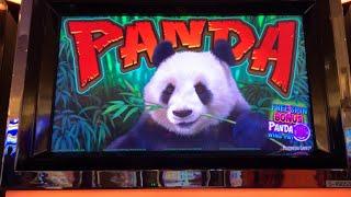 Panda Wins • Kickapoo Lucky Eagle Casino