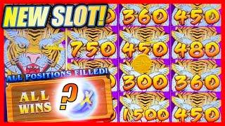 NEW & INTERESTING AGS SLOT MOUKO WITH FULL SCREEN WIN  EPIC REELS WITH HOT BONUSES