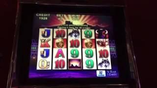 Buffalo Slot Machine Free Spin Bonus Excalibur Casino Las Vegas