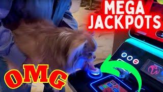 Best WINNING Day In My LIFE - NoN Stop Slot Machine MEGA JACKPOTS