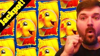 Massive MEGA JACKPOT HAND PAY On NEW Goldfish Feeding Time Slot Machine!