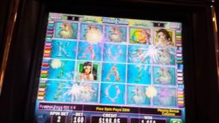 AWESOME BONUS *** WHITE ORCHID***Nickels $8.00 BET