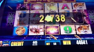BUFFALO DELUXE SLOT MACHINE MIN BET JACKPOT #26!