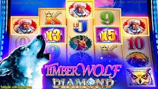 TIMBER WOLF DIAMOND - New Game 3X 5X BONUS - 1c Aristocrat Slots in CASINO