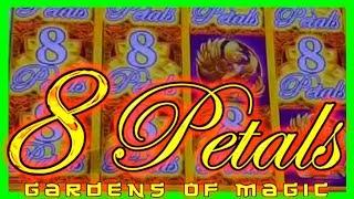 Do You Love Gettin' Rammed? SDGuy Does! LIVE PLAY and Bonuses on 8 Petals Slot Machine