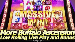 Buffalo Ascension Low Rolling - Live Play, Free Games and Stampede Features at Yaamava Casino!