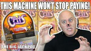 MEGA WIN$ High Limit Cats Slot Machine | The Big Jackpot