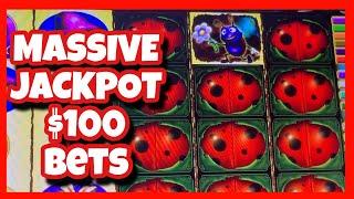 MASSIVE JACKPOT LIL LADY BUG SLOT/ HIGH LIMIT SLOT AND I GOT FREE GAMES LOT'S OF WILDS