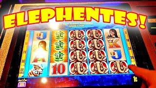 THE ELEPHENTE AND THE BEAR WITH THE LUXURIOUS HAIR - Las Vegas Casino Classic Slot Machine Bonus