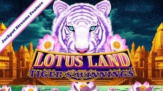 Sycuan  Lotus Land Tiger's Winnings Jackpot Stream Feature  The Slot Cats
